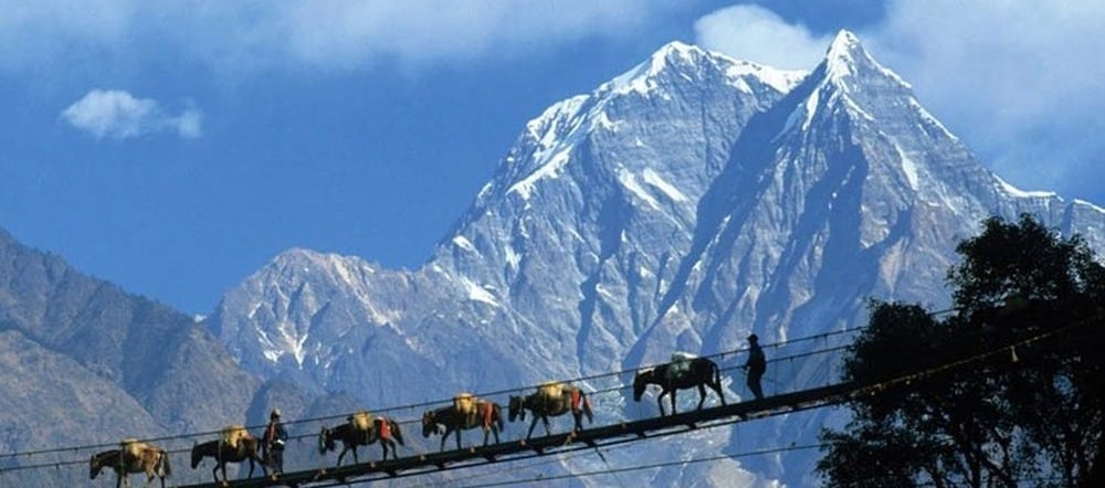 Tour Package Pelling