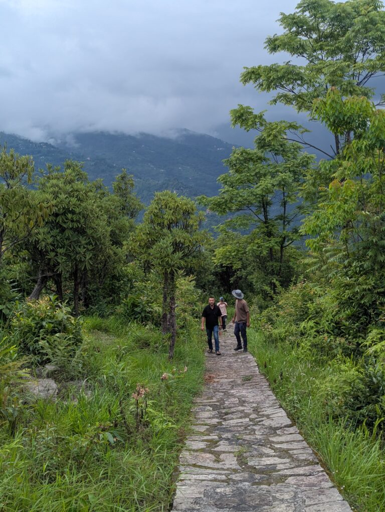 PXL_20250621_110426664